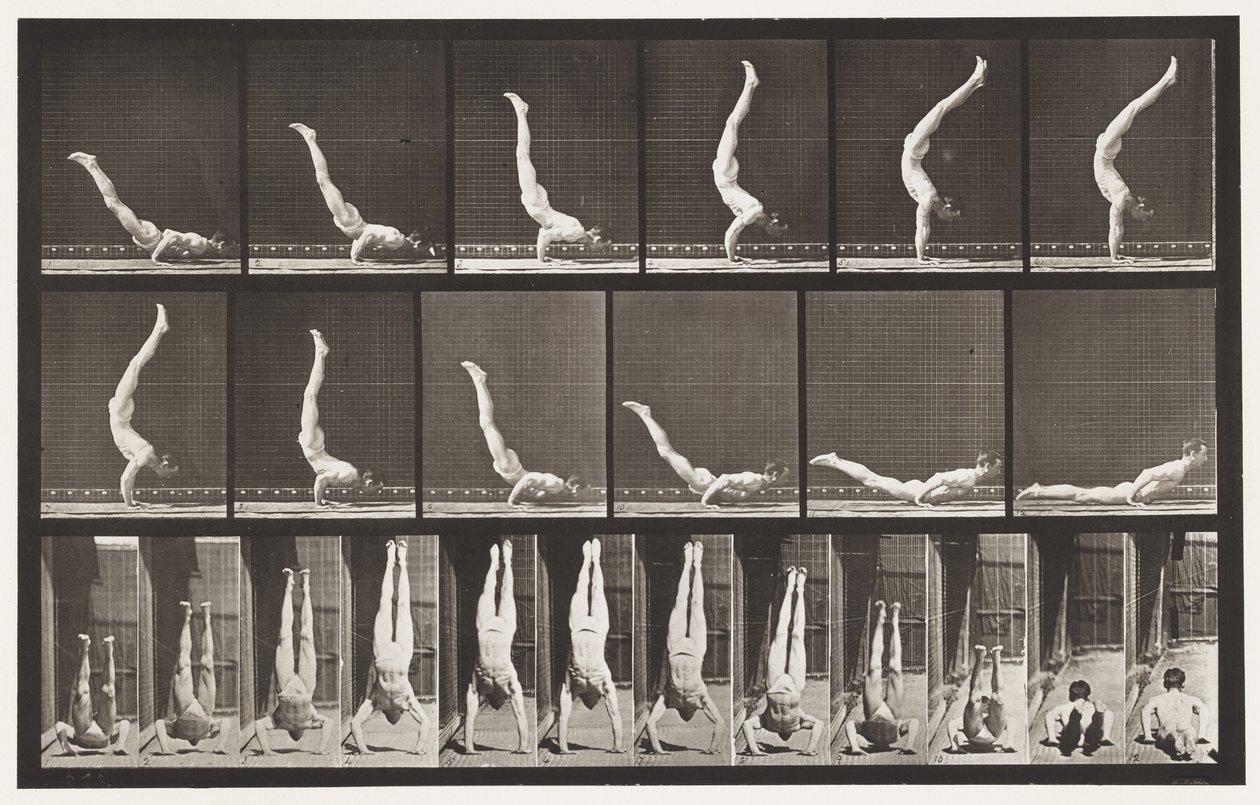 Plade 372. Acrobat, vandret tryk op af Eadweard Muybridge