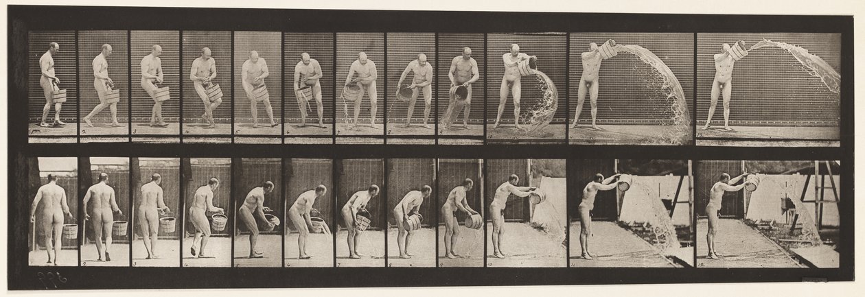 Tavle 399. Tømmespand vand, 1872-1885 af Eadweard Muybridge