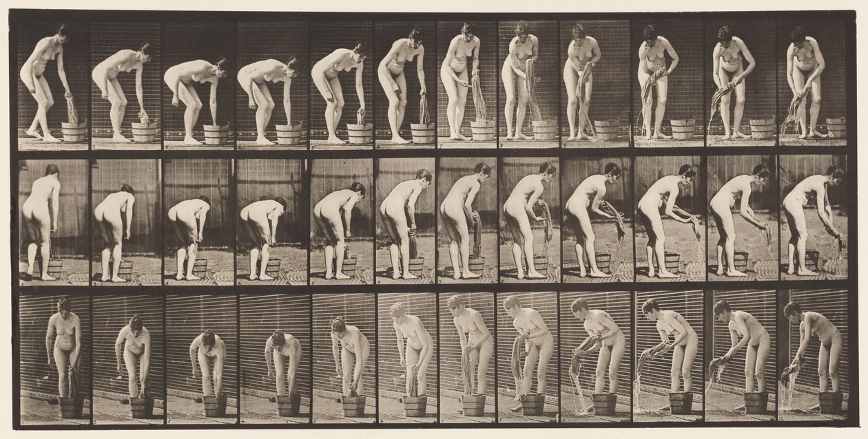 Tallerken 433. Vridningstøj af Eadweard Muybridge