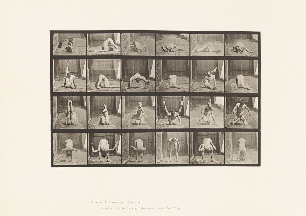 Plade 511. Forvridninger på jorden af Eadweard Muybridge
