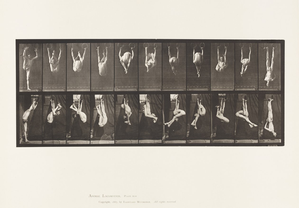 Plade 512. Forvridninger på ringe af Eadweard Muybridge