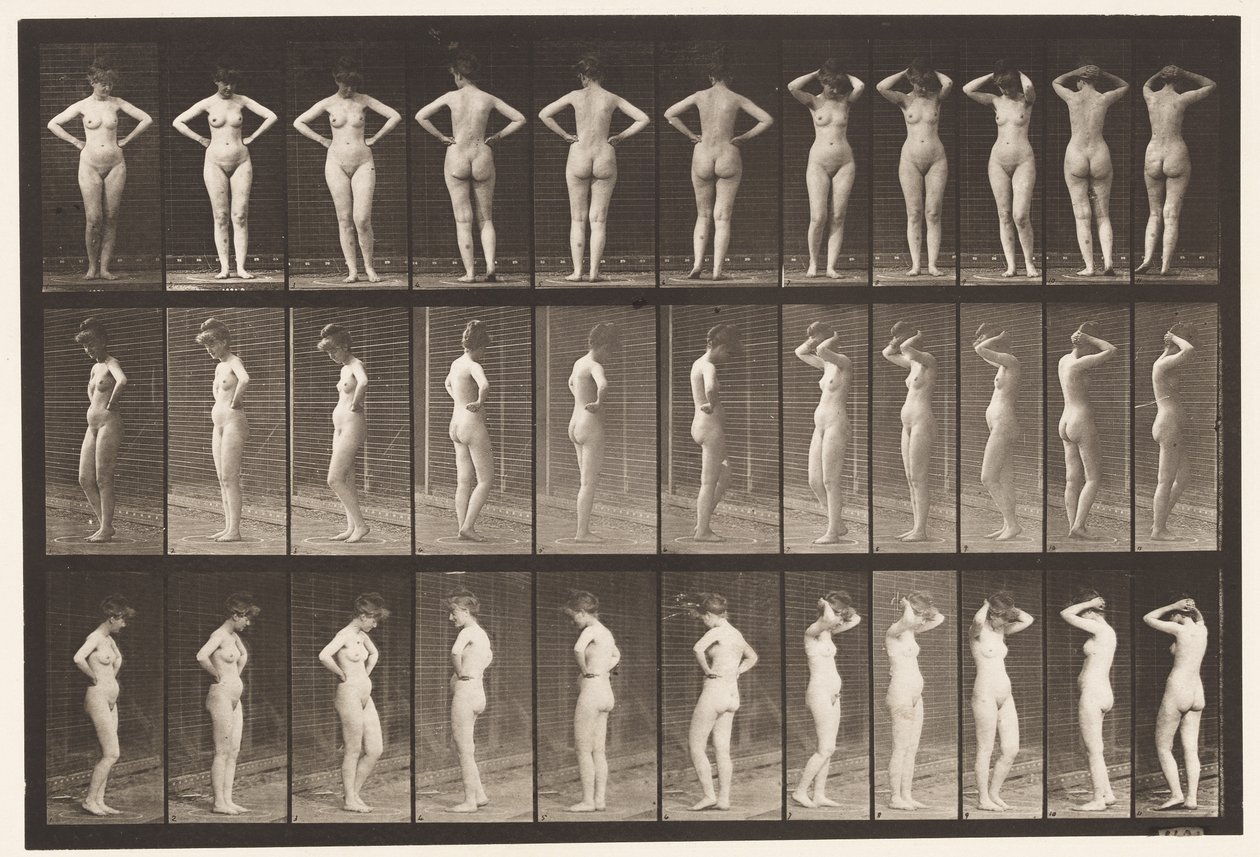 Tavle 531. Forskellige Stillinger af Eadweard Muybridge