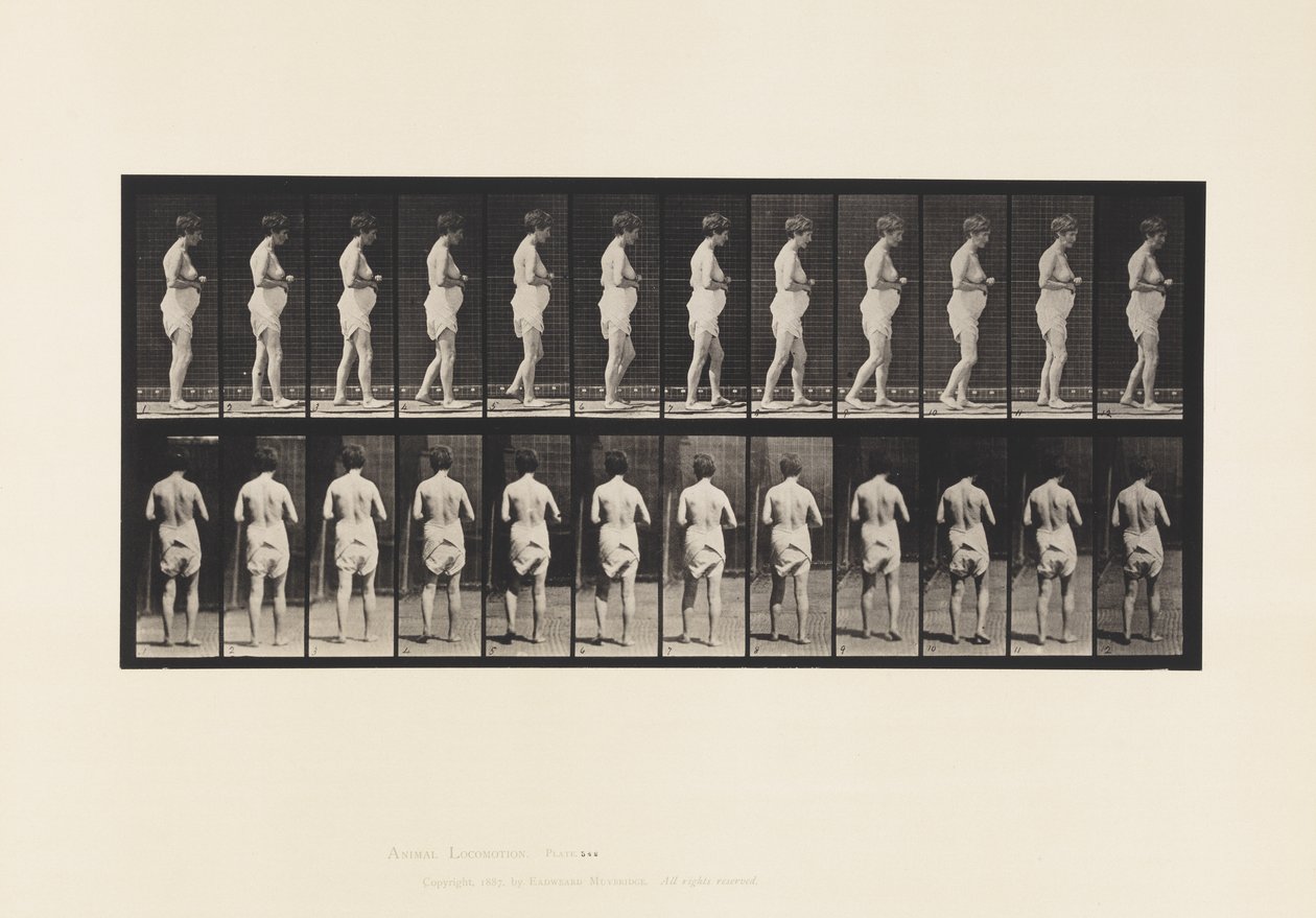 Plade 542. Multipel Cerebro-Spinal Sklerose - Gå af Eadweard Muybridge