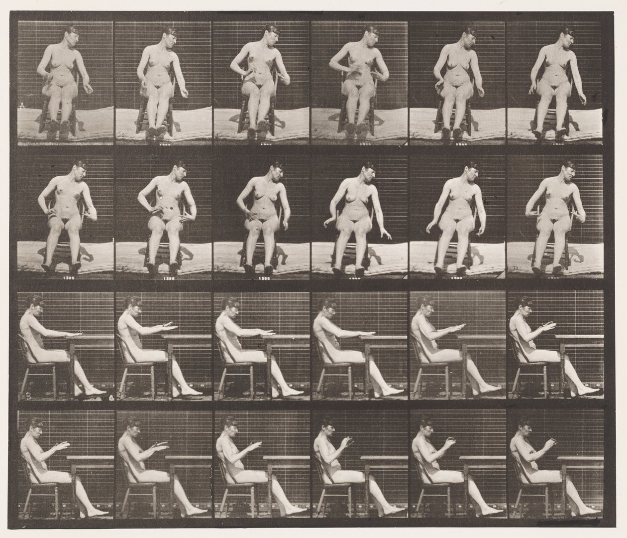 Plade 545. Kunstigt fremkaldte kramper; A,B, mens du sidder af Eadweard Muybridge