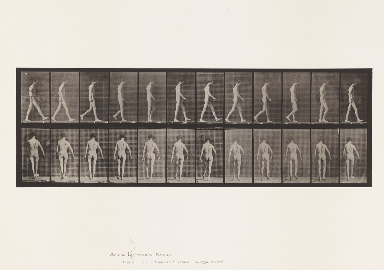 Plade 546.Locomotor Ataxia; Vandrende, 1885 af Eadweard Muybridge
