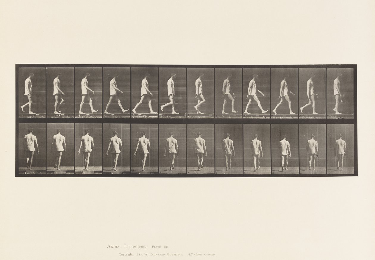 Plade 560.Locomotor Ataxia; Vandrende, 1885 af Eadweard Muybridge