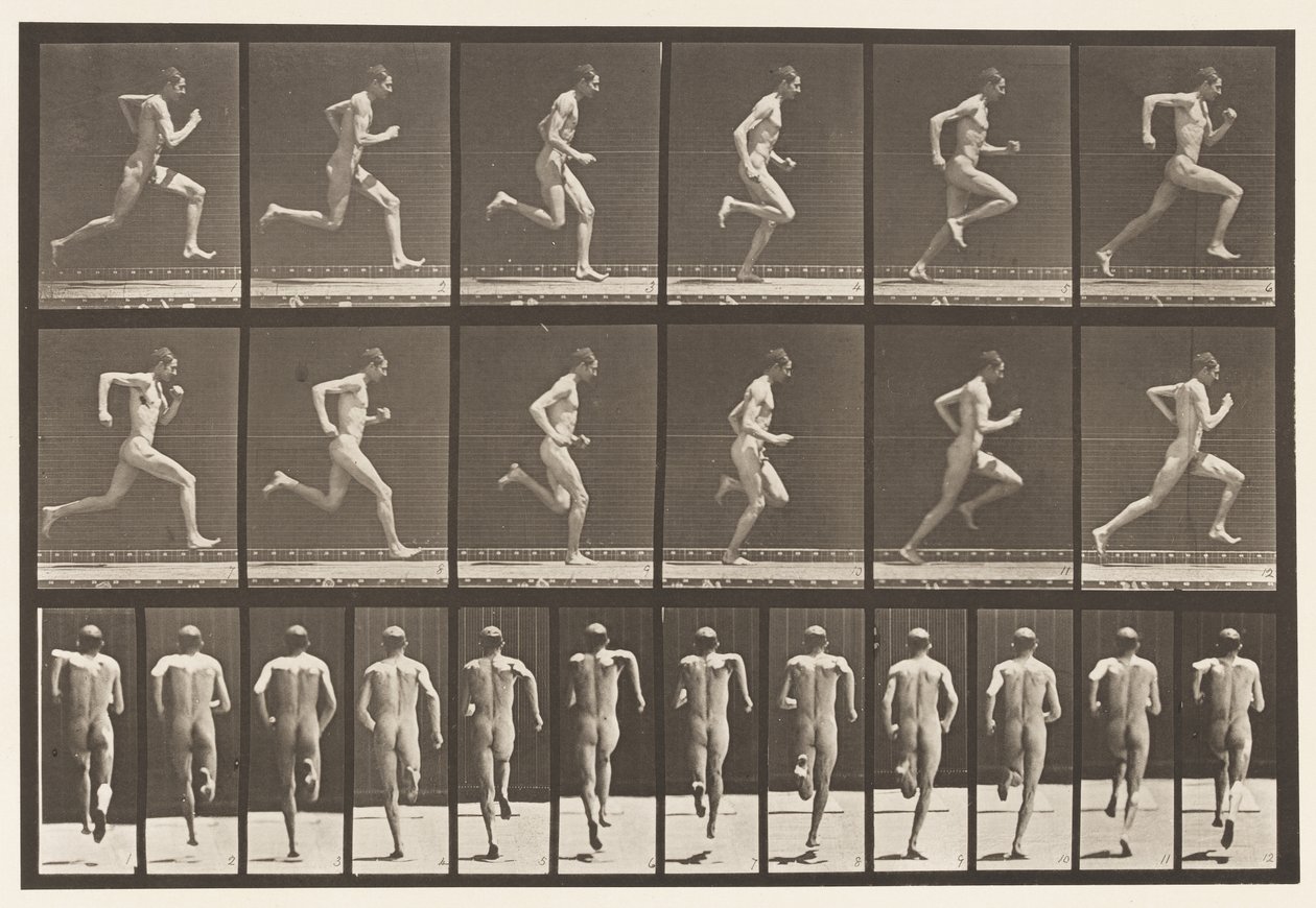 Plade 62. Kører i fuld fart., 1872-1885 af Eadweard Muybridge
