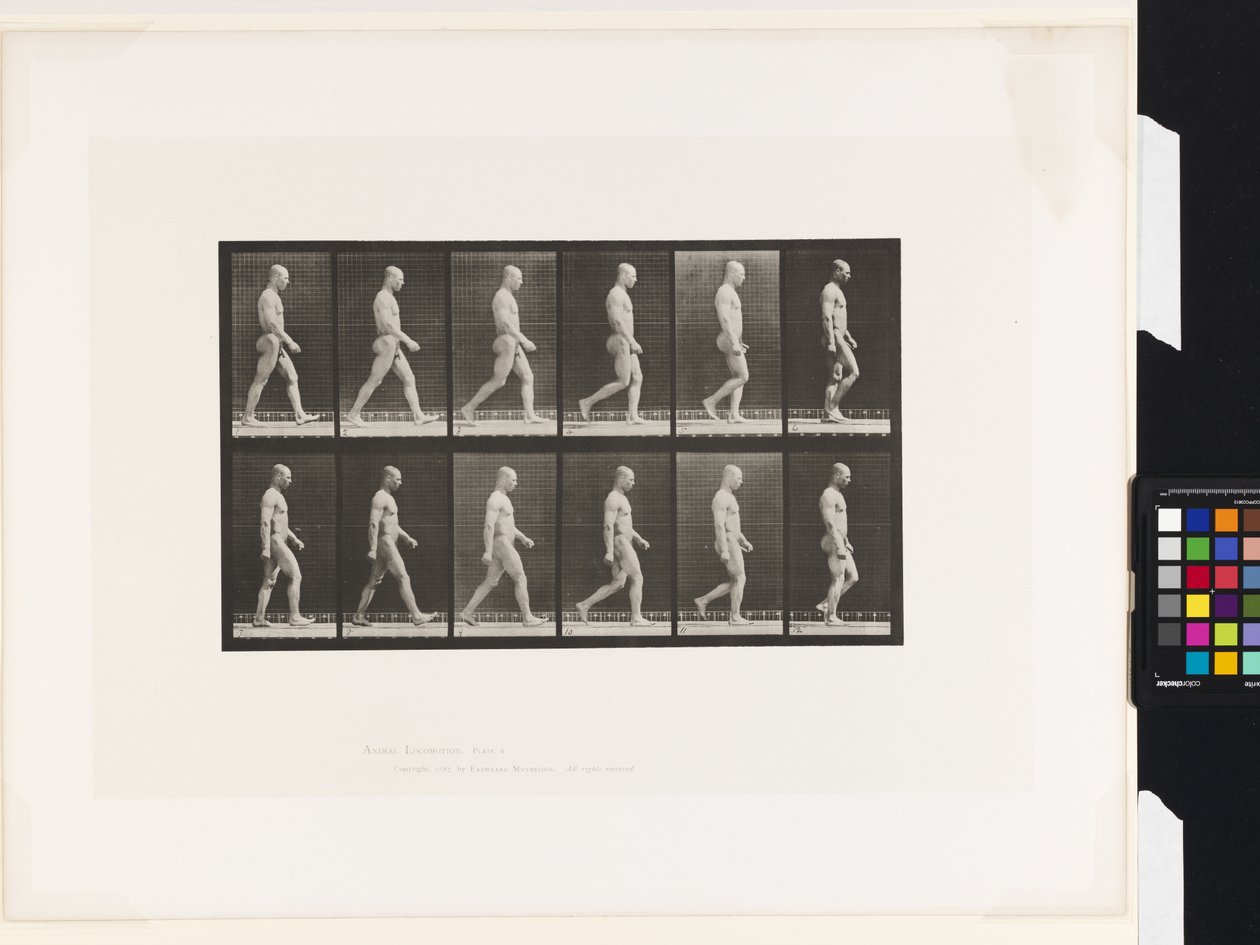 Plade 6.Gå af Eadweard Muybridge