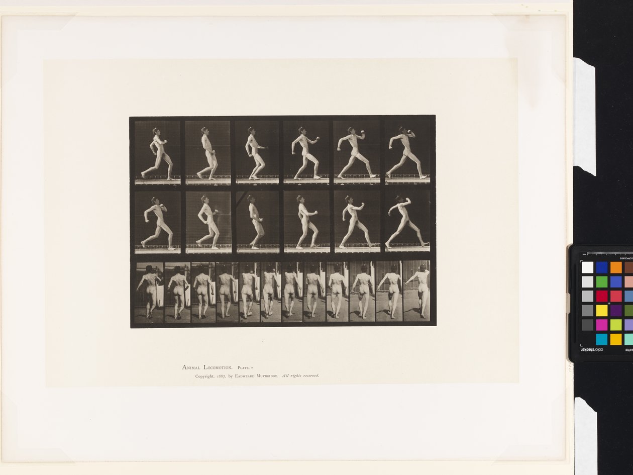 Plade 7.Gå af Eadweard Muybridge