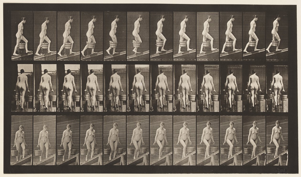 Plade 81. Stigende Hældning. af Eadweard Muybridge