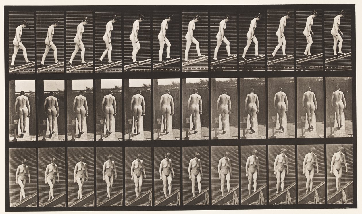 Plade 85. Stigende Hældning af Eadweard Muybridge