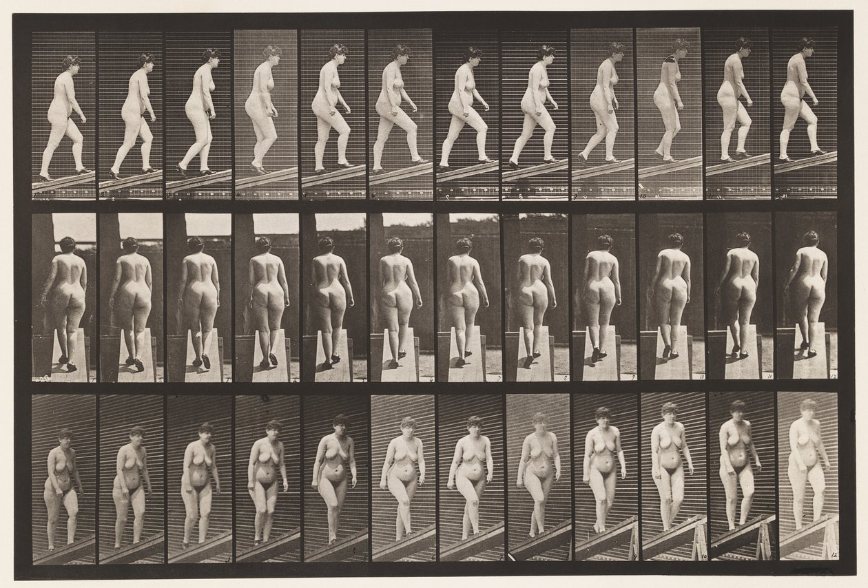 Plade 86. Stigende Hældning af Eadweard Muybridge