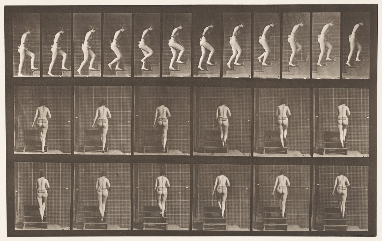 Tavle 93. Opstigende Trapper af Eadweard Muybridge