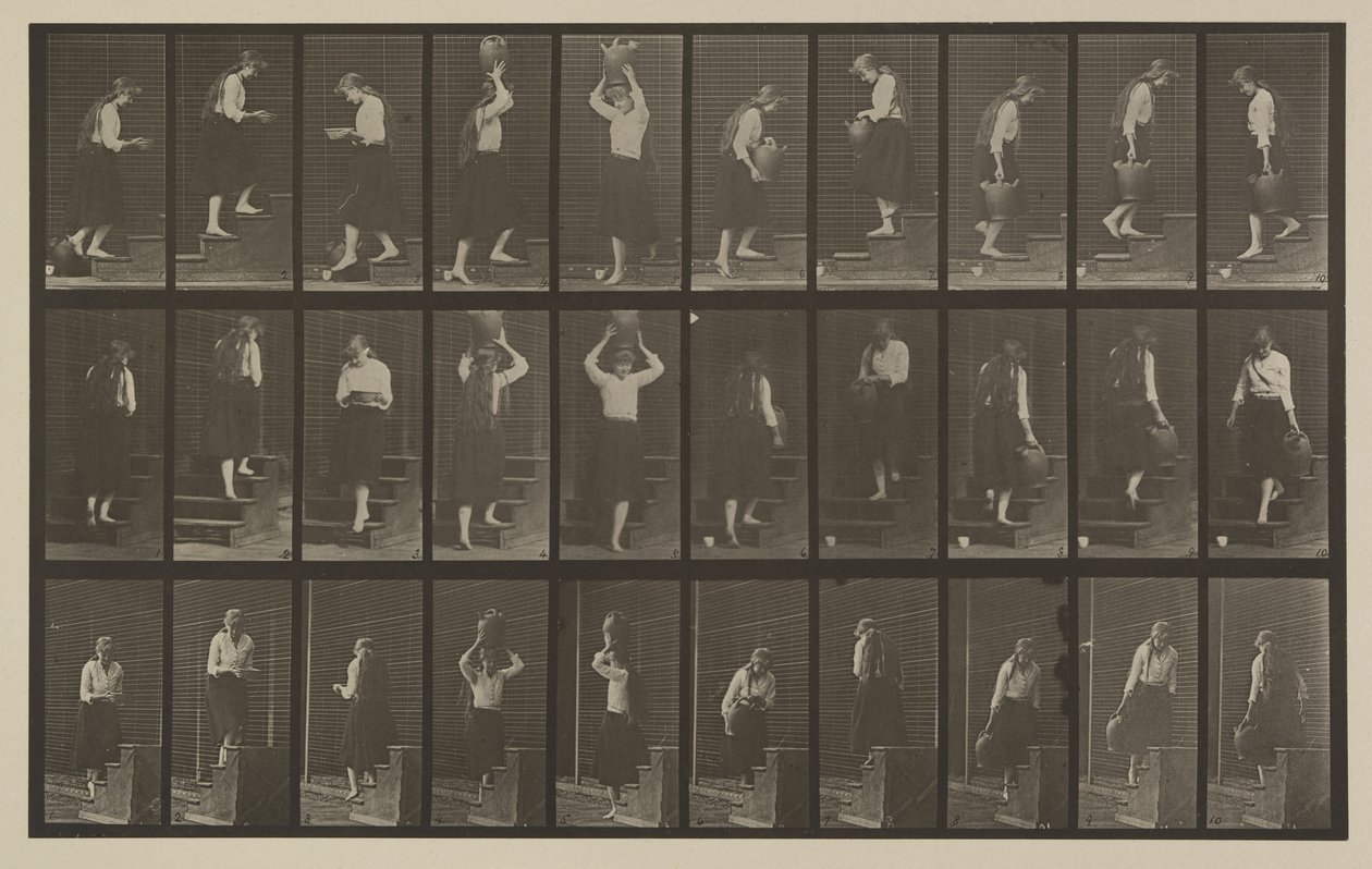 Tavle nummer 504. Op- og nedadgående trapper af Eadweard Muybridge