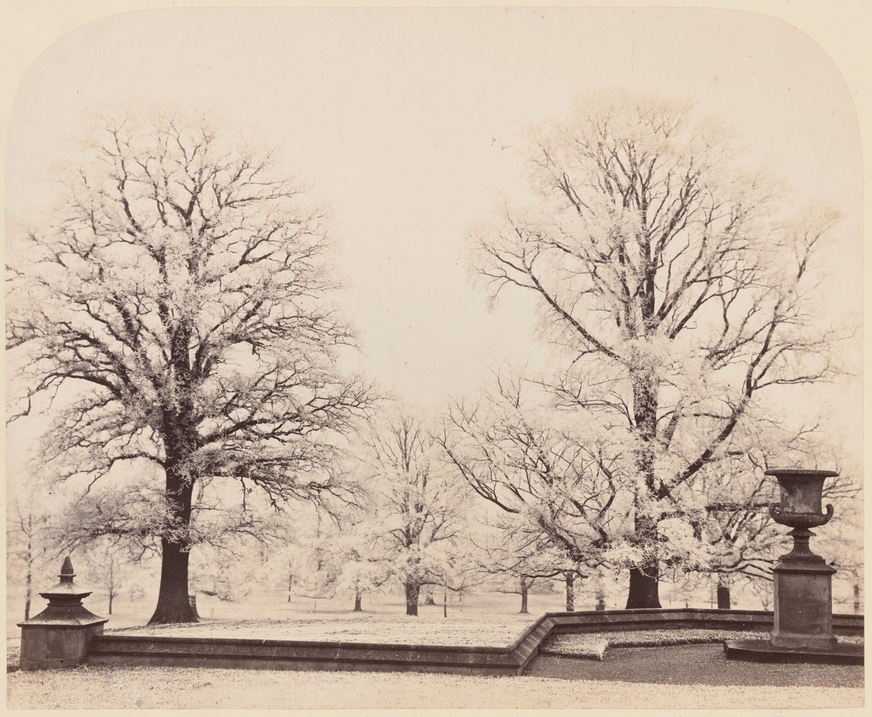 Rimfrost, en parkscene af Earl of Caithness