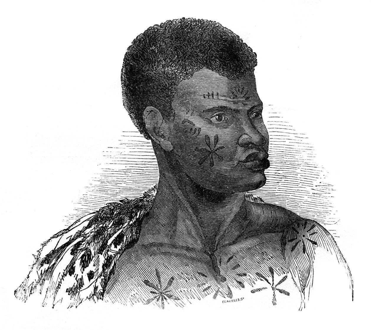 Født i Mozambique, 1848. af Ebenezer Landells