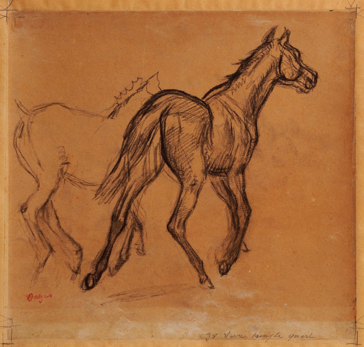 Heste, ca. 1882 af Edgar Degas