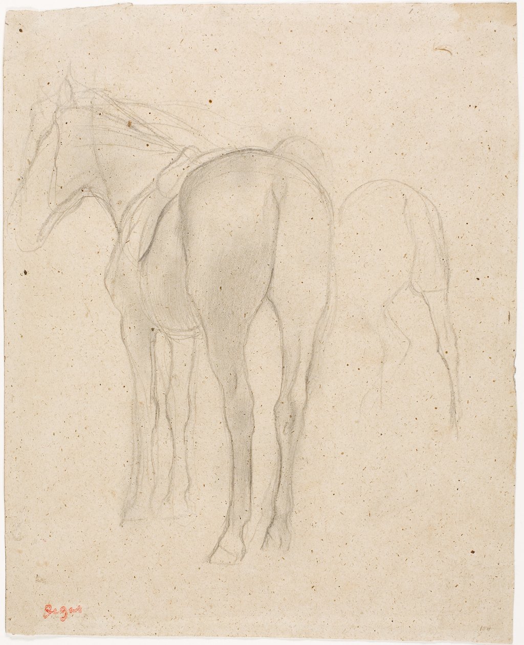 Studier af en hest af Edgar Degas