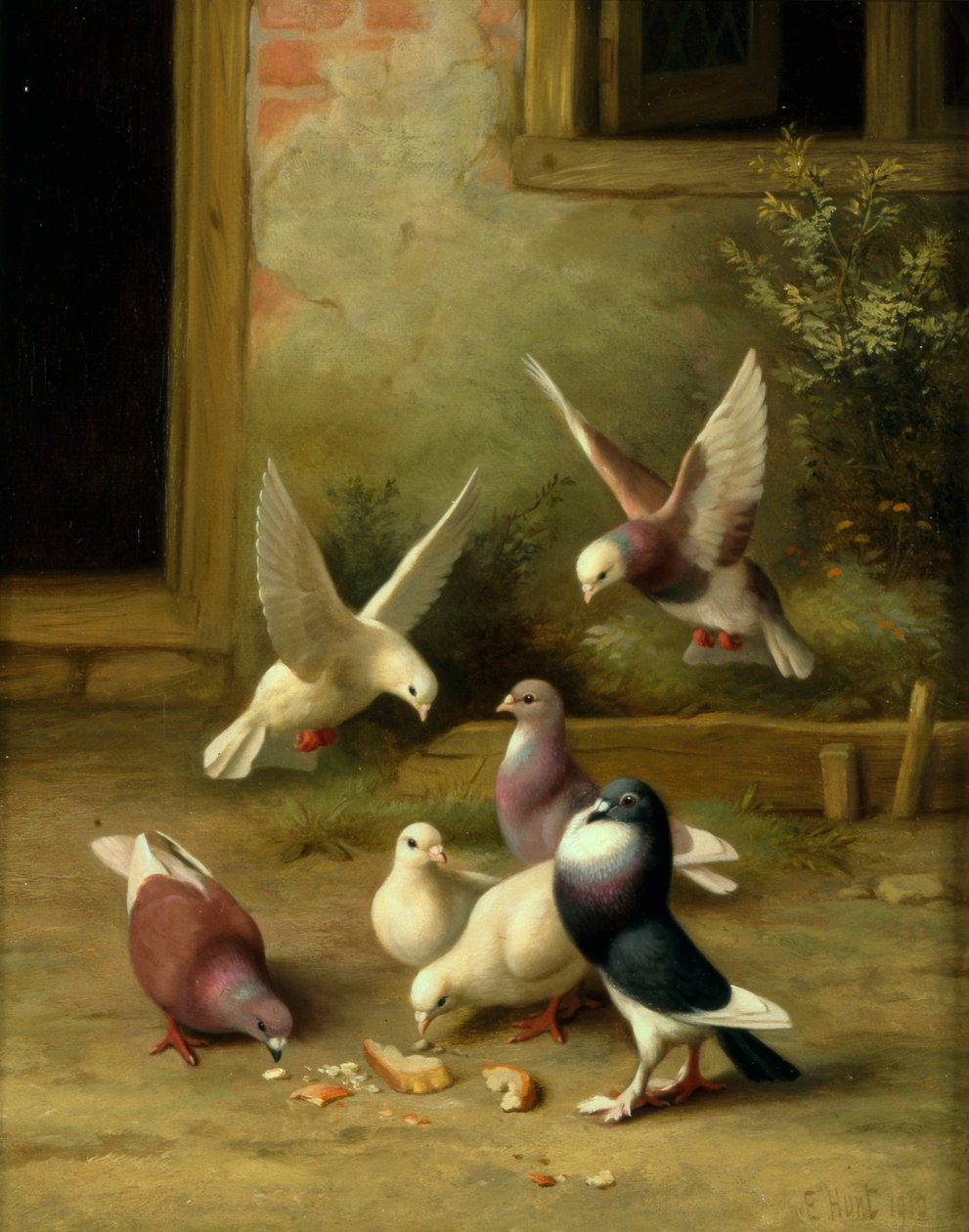 Duer, der fodrer af Edgar Hunt