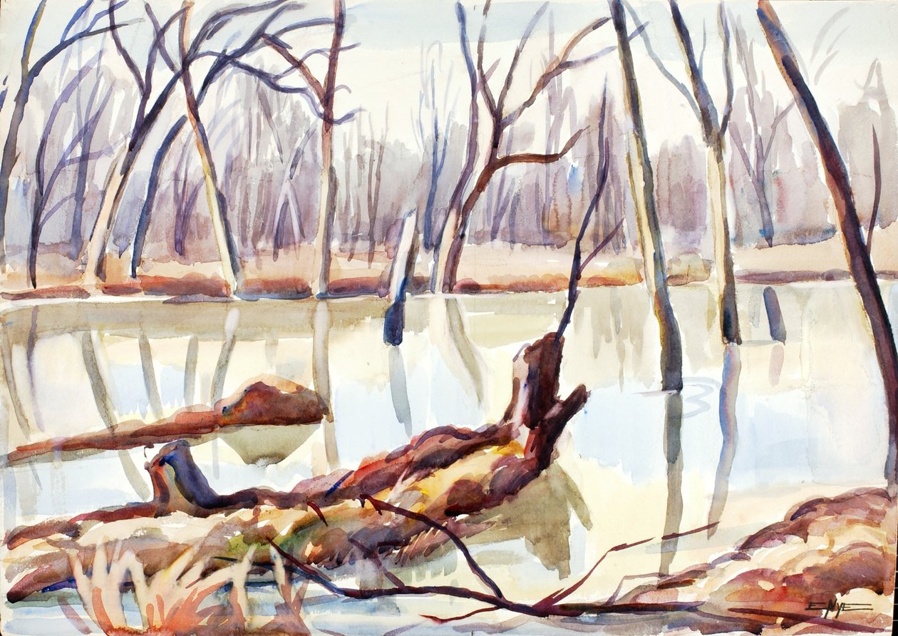 Rock Creek, vinter, ca. 1920-1929. af Edgar Nye