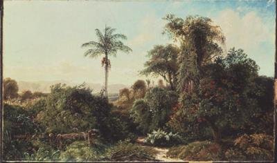 Cubansk landskab (olie på lærred) af Edmund Darch Lewis