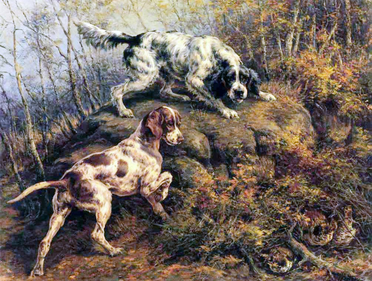 Pointer, Setter og Ryper af Edmund Henry Osthaus