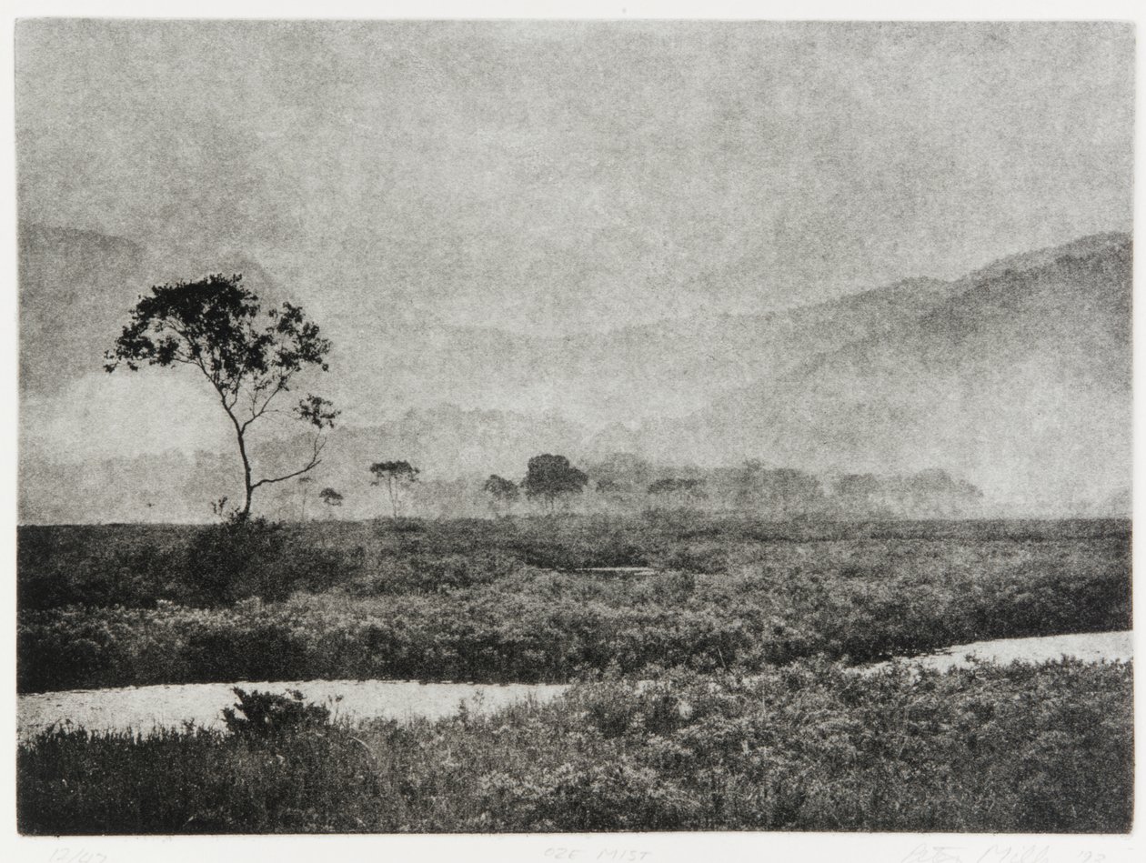 Oze Mist, 1993 af Edouard Cremieux