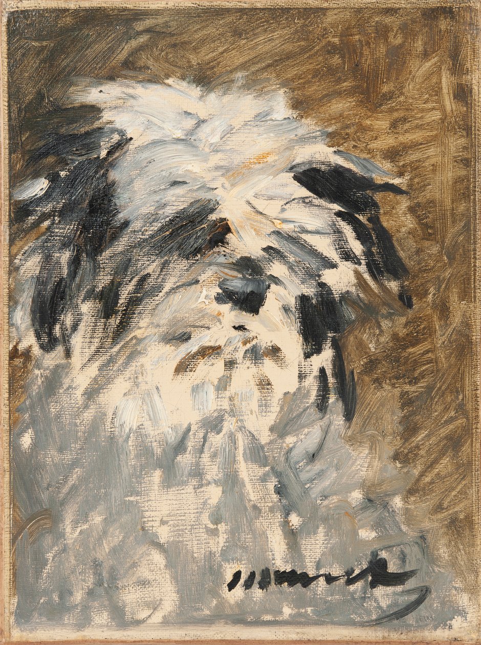 Fransk:  Minnay Minnay af Édouard Manet