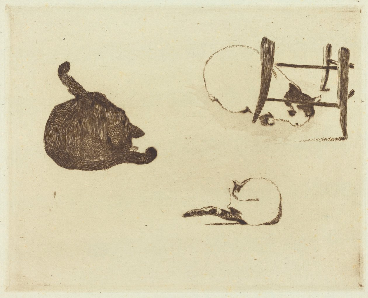 The Cats Les chats, 1869. af Édouard Manet