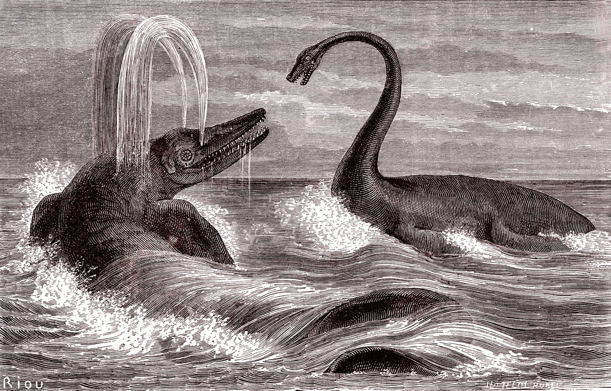 Ichtyosaurus ja plesiosaurus af Edouard Riou