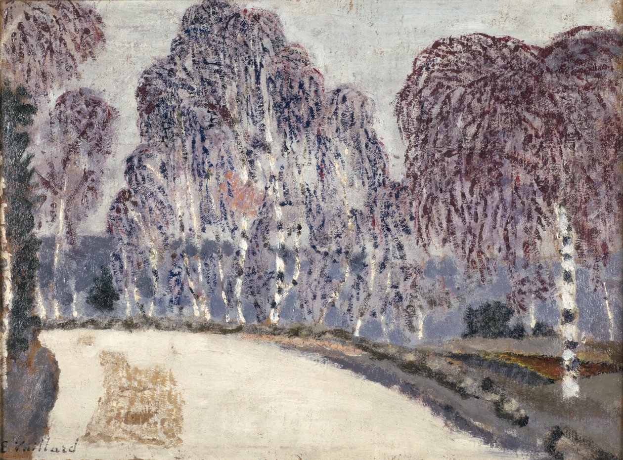 Birkes ved LEtang-a-la-Ville, 1896 (olie på pap) af Edouard Vuillard