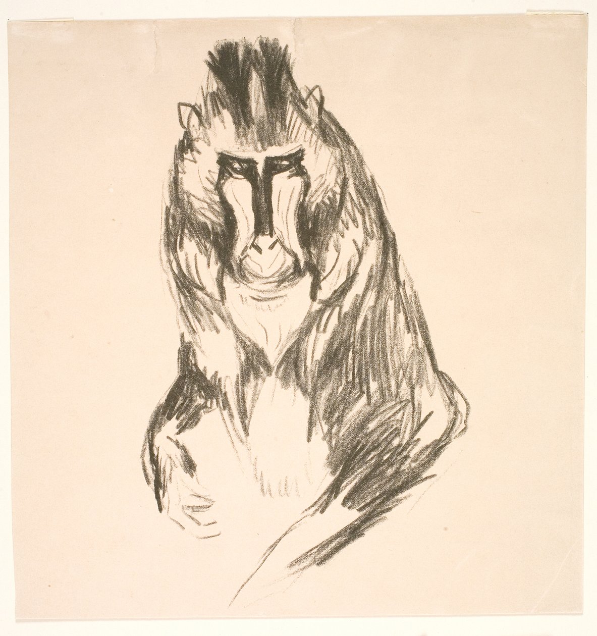 Gorilla (fastlandet) af Edvard Munch
