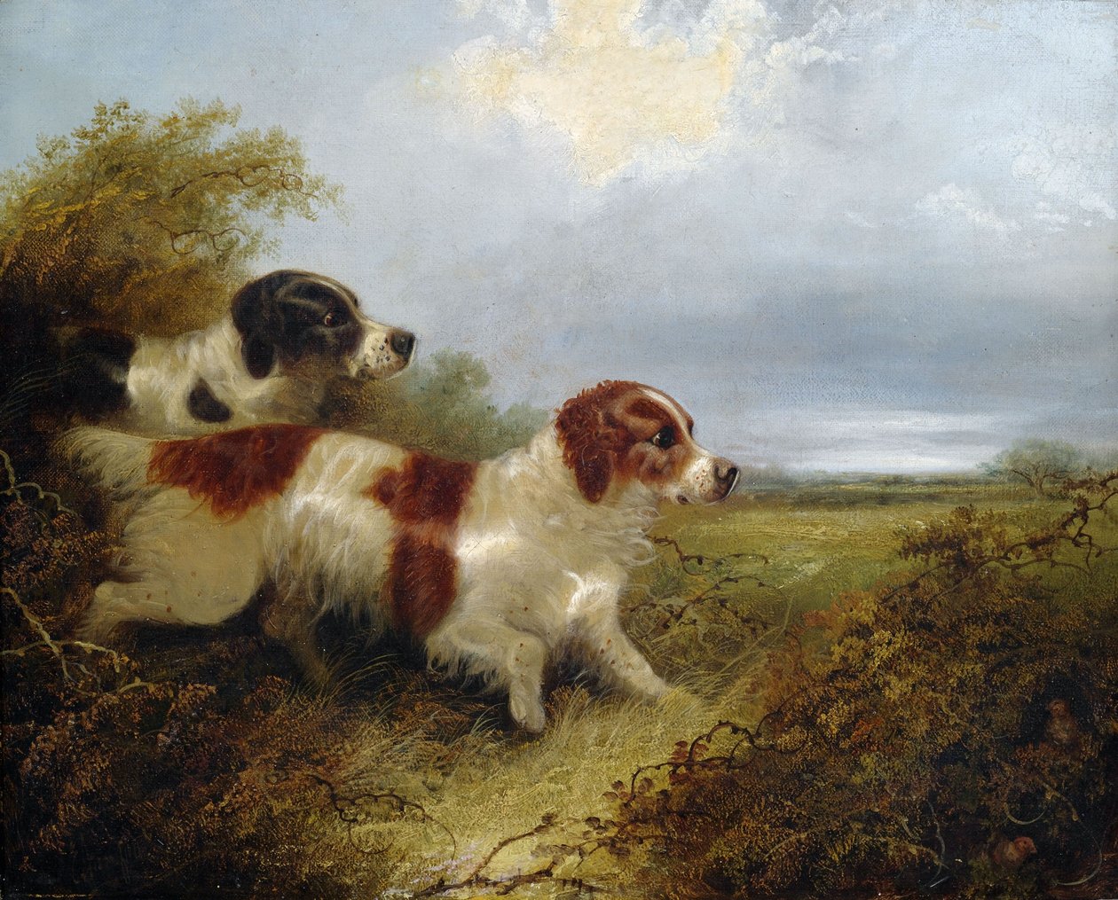 To Terrier af Edward Armfield