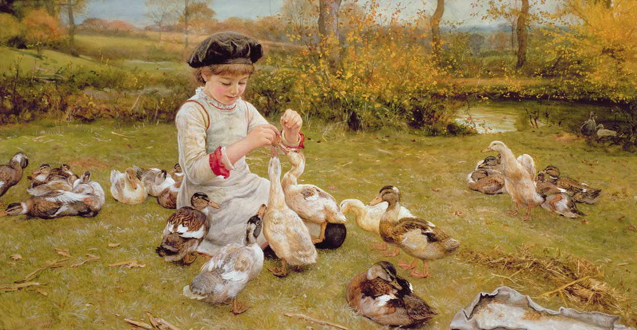 At fodre ænderne af Edward Killingworth Johnson