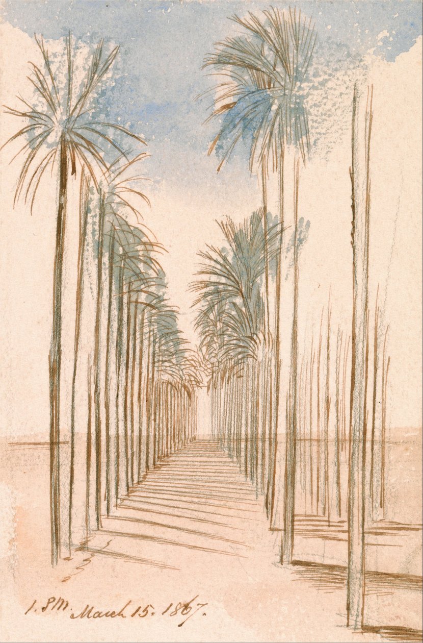 Avenue of Trees af Edward Lear