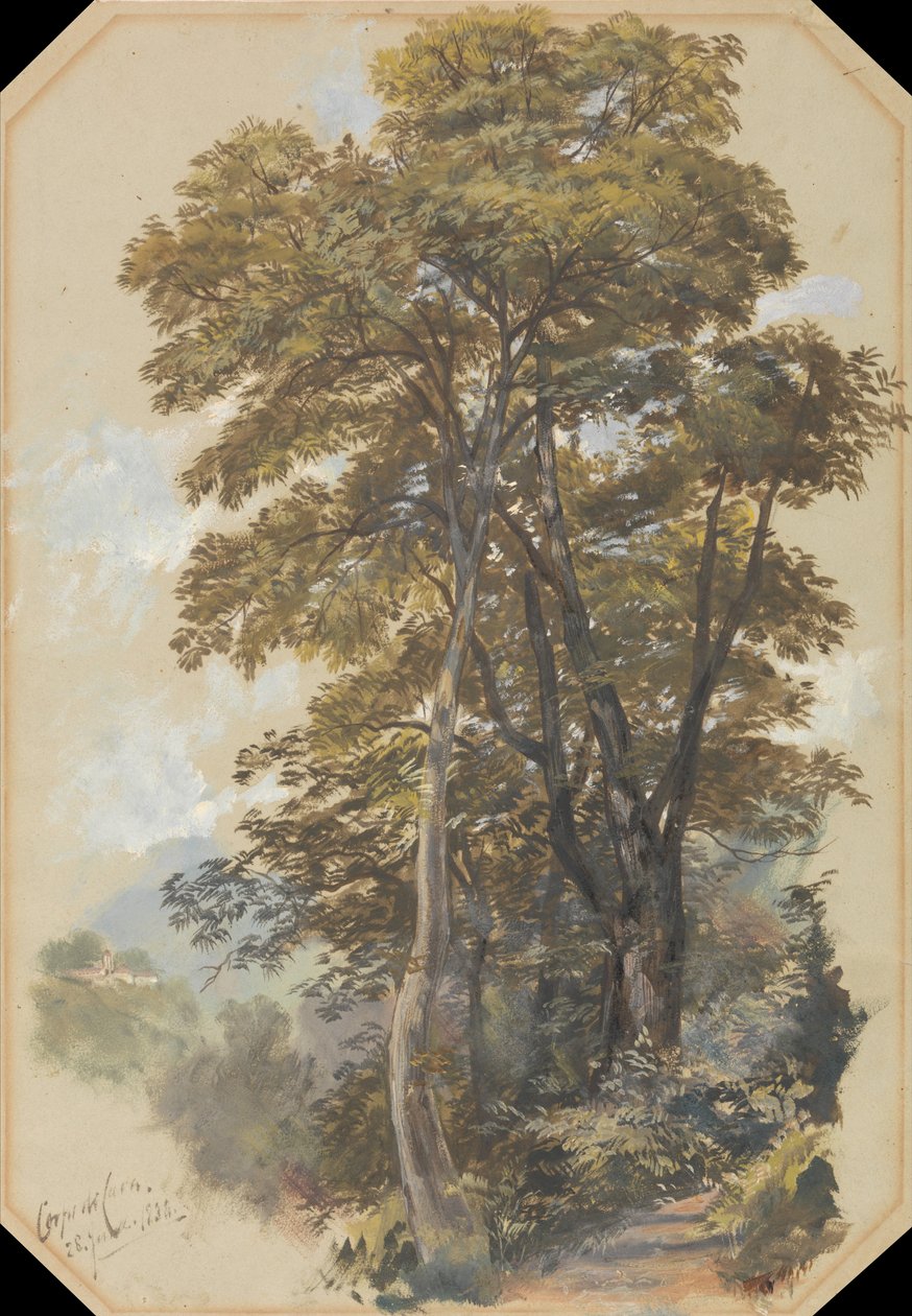 Stenbrudskorpset, 28. juni 1838 af Edward Lear