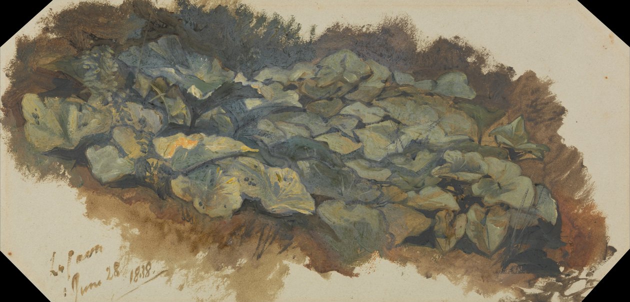 Cavaen af Edward Lear