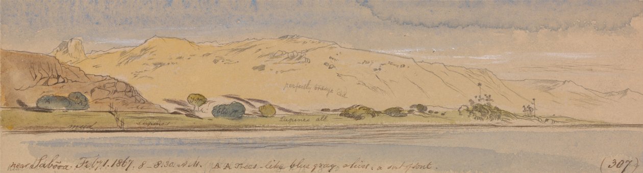 I nærheden af Sabooa af Edward Lear