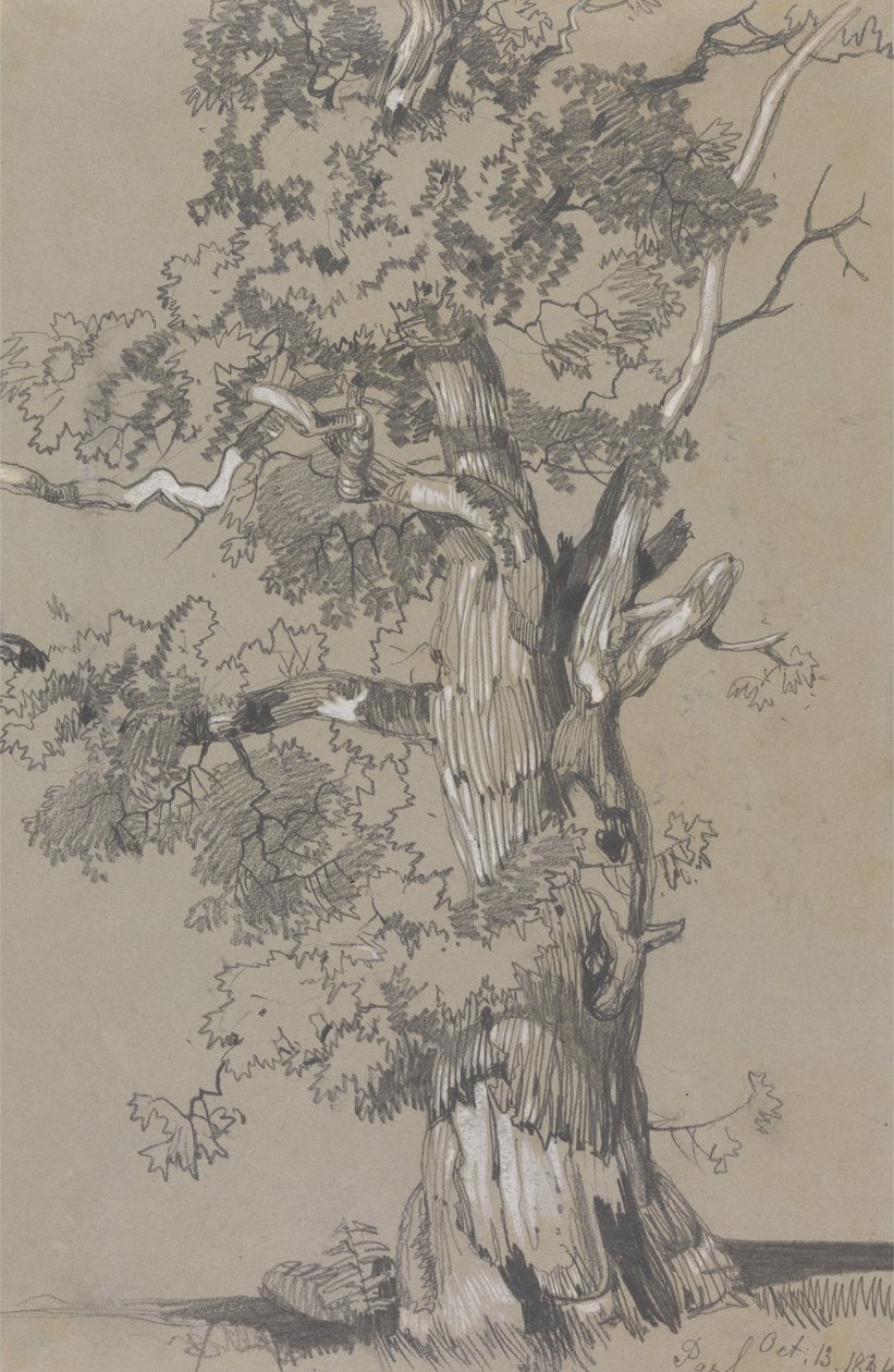 Parham, oktober.13.1834 af Edward Lear
