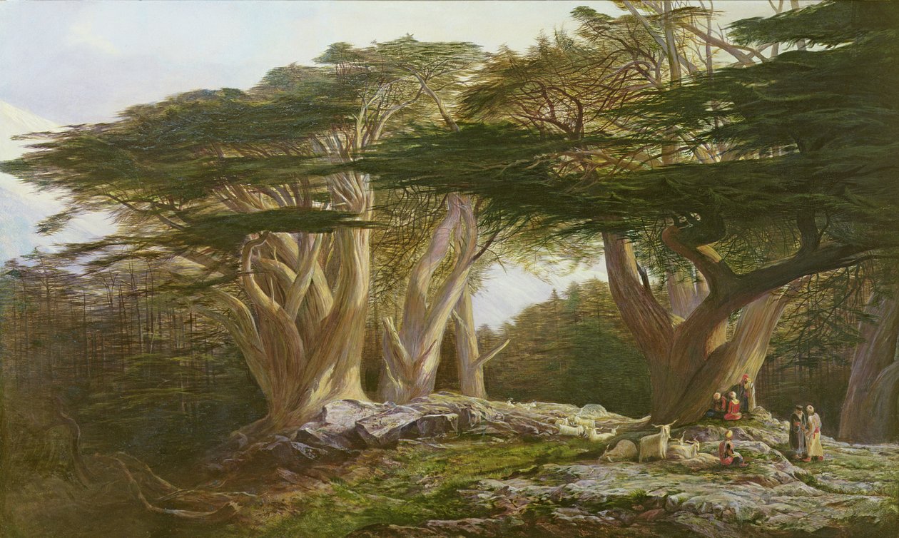 Cedarerne i Libanon, 1861 af Edward Lear