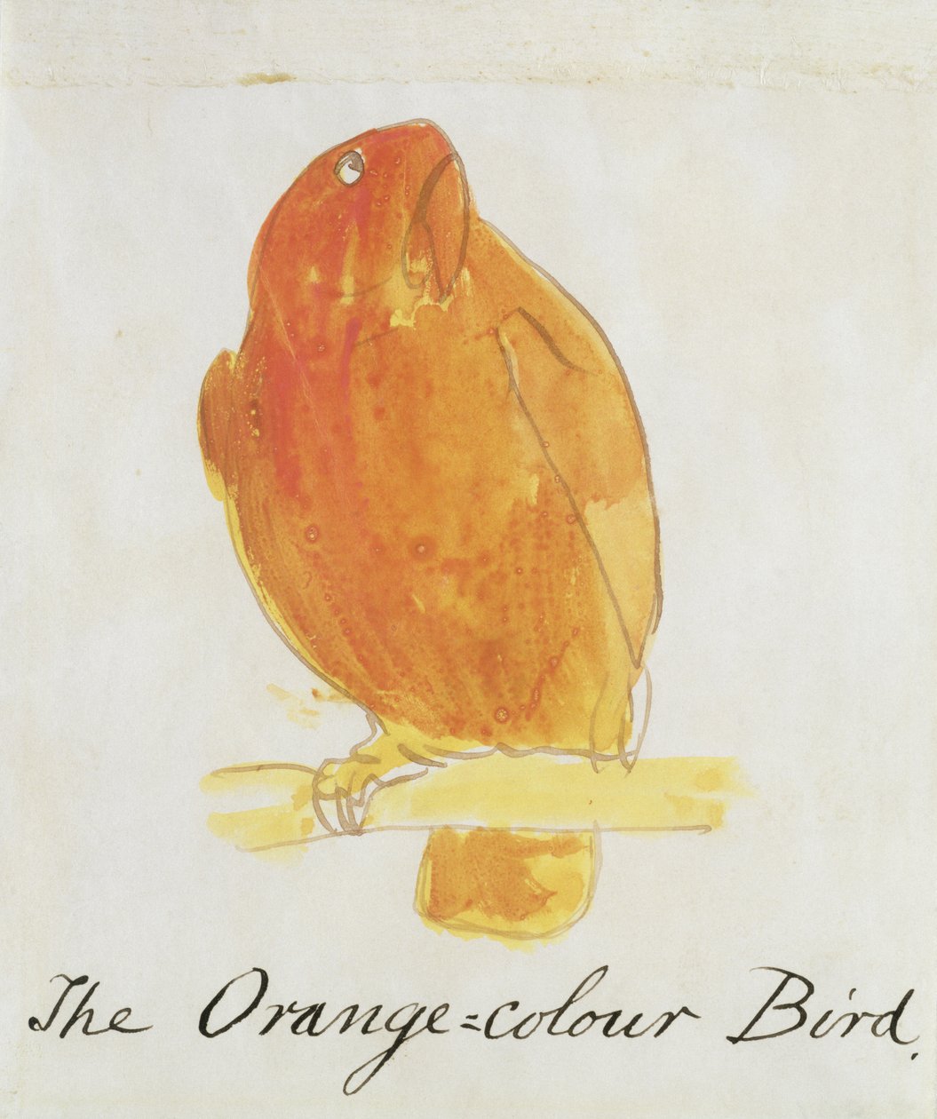The Orange Color Bird, fra 