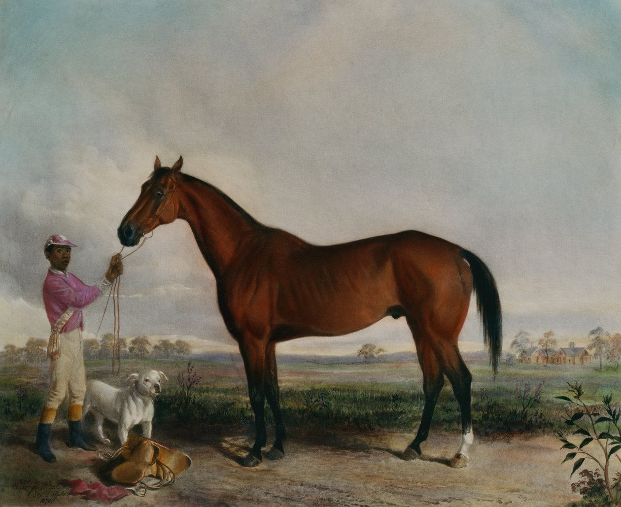 Spørger, Bay Horse af Edward (after) Troye