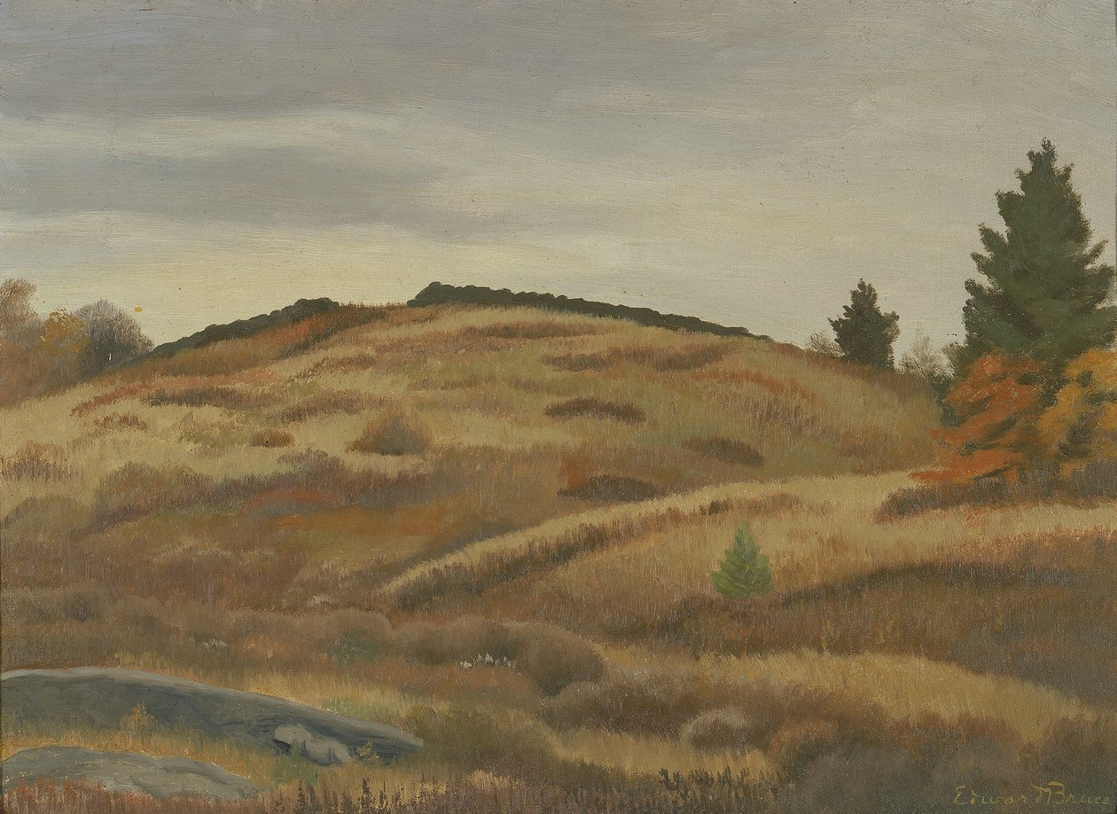 Autumn Fields, ca. 1926-1934. af Edward Bruce