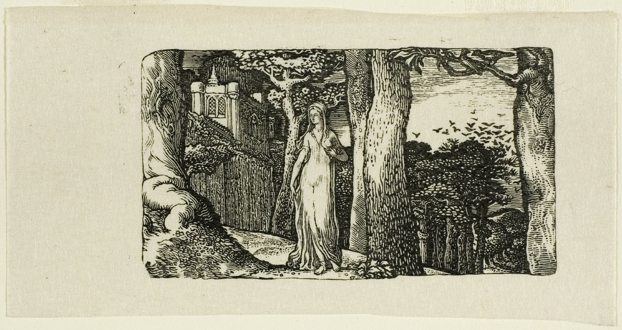 Lady and the Rooks af Edward Calvert