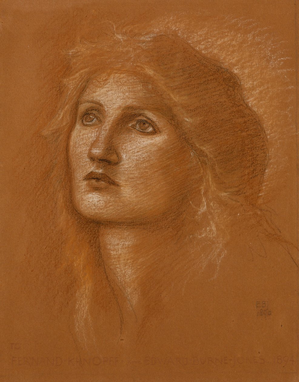 Hoved af en kvinde, 1890 af Edward Burne Jones