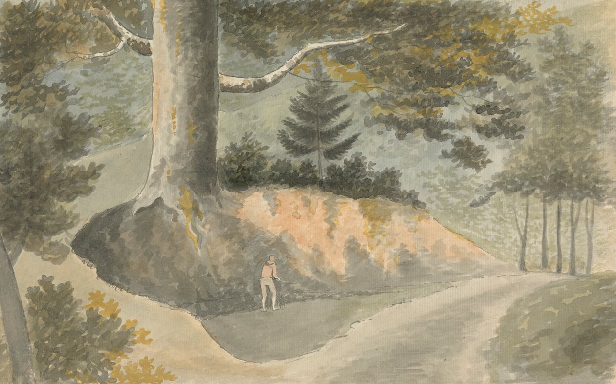Vej i skoven af Edward Francis Burney