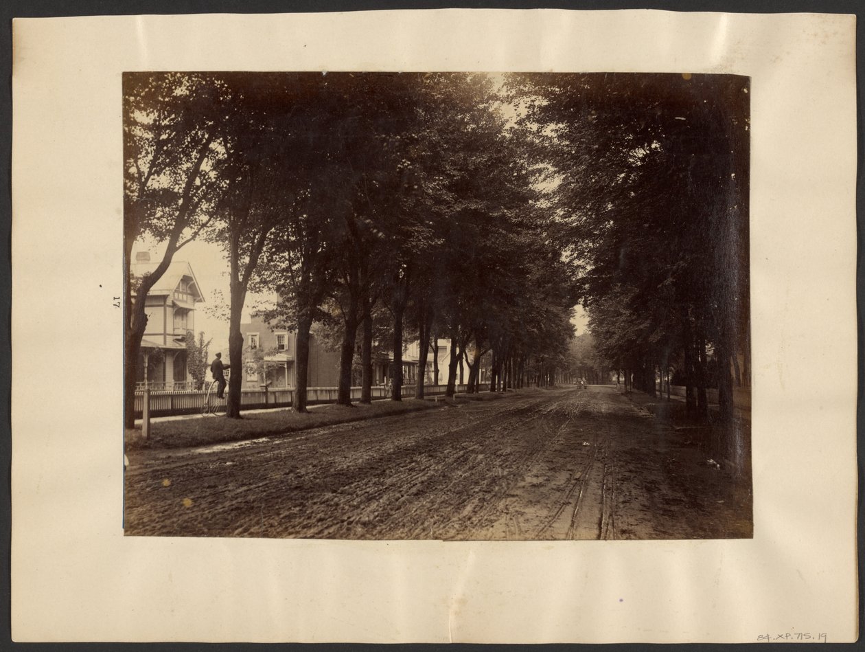 [Tree Lined Street] af Edward H. Hart