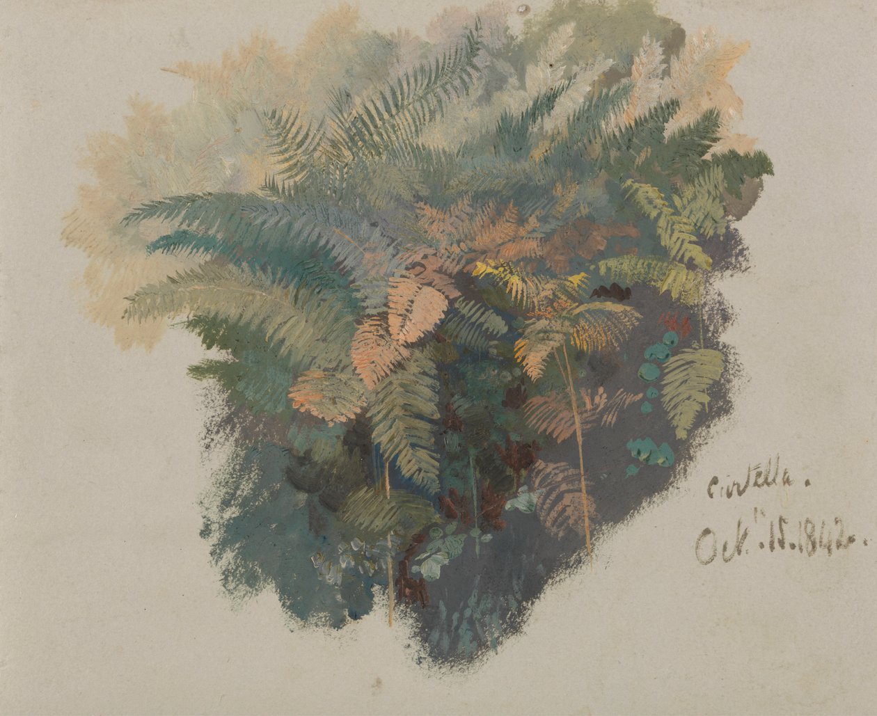 En undersøgelse af bregner, Civitella af Edward Lear
