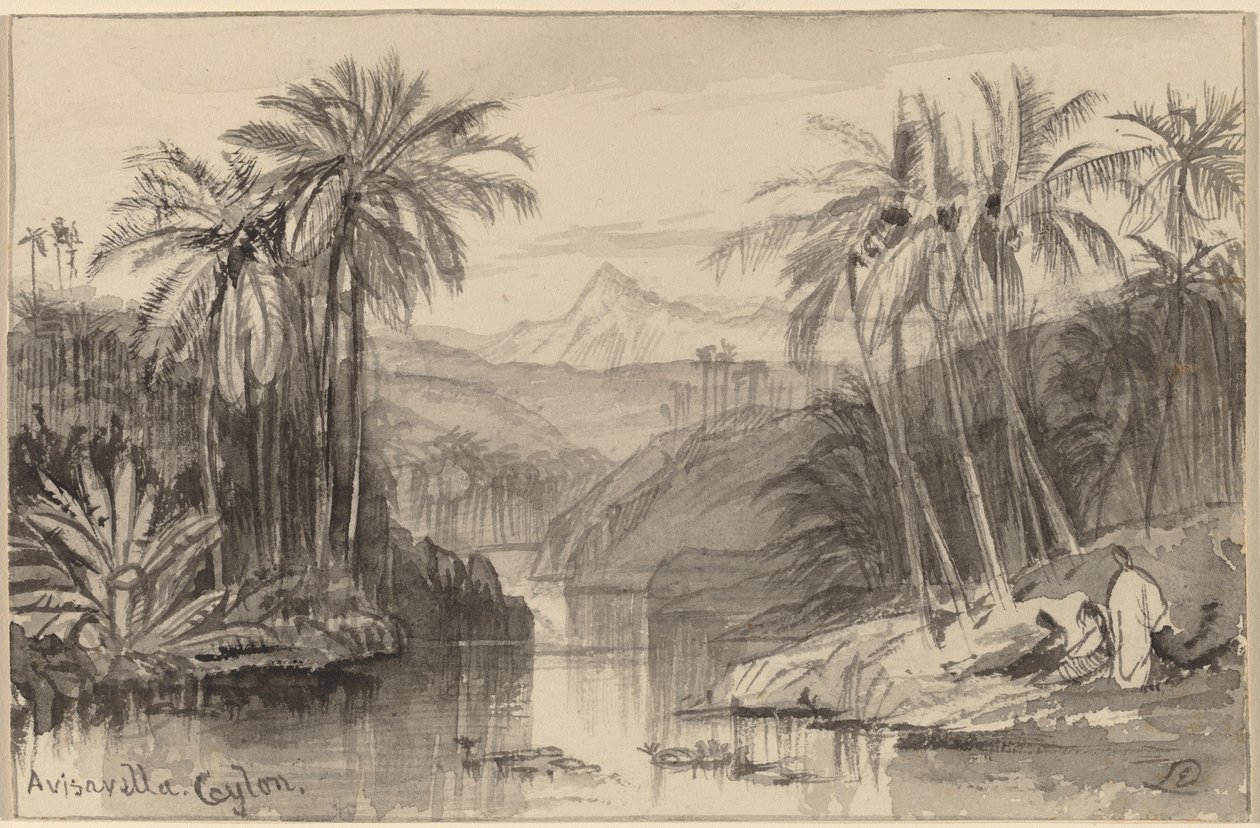 Avisavella, Ceylon, 18841885. af Edward Lear