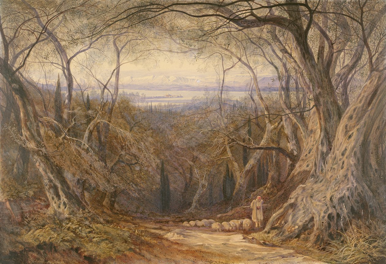 Korfu af Edward Lear